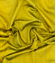 Neon Green Handloom Rajkot Patola Dupion Silk Saree With Contrast Zari Border-IK0472