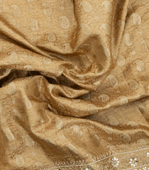 Taupe Woven Silk Saree With Hand Embroidered Motifs-EN1796