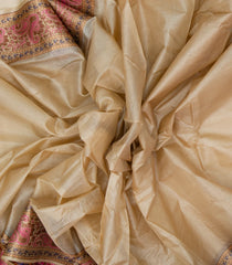 Beige Woven Tussar Silk Saree With Meena Floral Border-TU2982