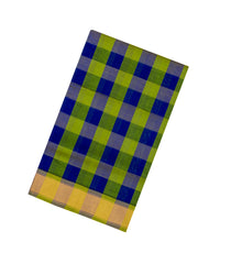 Green & Blue Handloom Silk Cotton Saree With Checks & Contrast Border-SC4456