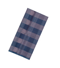 Steel Blue Handloom Soft Silk Saree With Checks & Contrast Pallu -SO4628