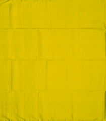 Multi Colour Handloom Soft Silk Saree With Checks & Buttas-SO3959