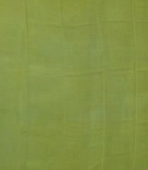 Light Green Printed Crepe Silk Saree With Floral Motifs-PS0919
