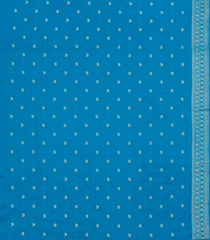 Sky Blue Woven Synthetic Dupion Saree With Floral Vine Motifs-BL5019