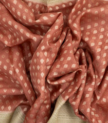 Peach Handloom Banarasi Organza Silk Saree With Floral Motifs-BE1577
