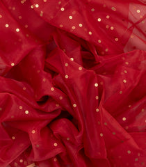 Red Woven Organza Saree With Sequin Work & Paithani Pallu-TU2648