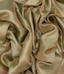 Light Green Handloom Banarasi Organza Silk Saree With Stripes-BE1689