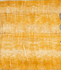 Yellow Handloom Tussar Silk Saree With Eco Printed Motifs-TU2850