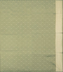 Sage Green Woven Art Dupion Tissue Saree With Floral Zari Motifs-BL5838