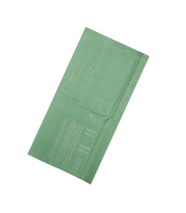 Light Green Woven Kora Soft Silk Saree With Abstract Stripes-SO4750