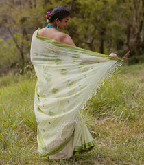 Light Green Handloom Bengal Cotton Saree With Parrot Buttas-BG1698