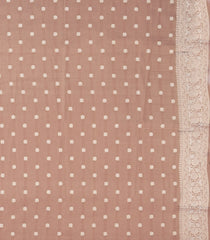 Brown Woven Art Tissue Dupion Saree With Floral Zari Buttas-BL5890