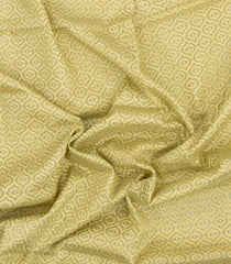 Pista Green Handloom Banarasi Organza Silk Saree With Floral Motifs-BE1842