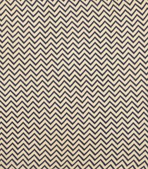 Midnight Blue Woven Chirala Cotton Saree With Printed Border & Pallu-CR1361