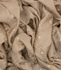 Taupe Woven Crepe Brocade Saree With Embroidered Floral Motifs-EN1634