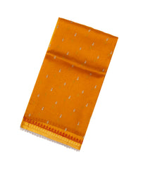 Orange Woven Organza Silk Saree With Embroidered Floral Motifs-BL3843