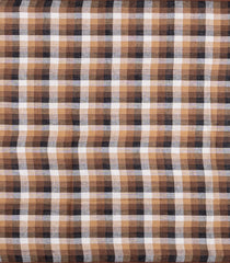 Taupe Woven Linen Saree With Checks-LI0727