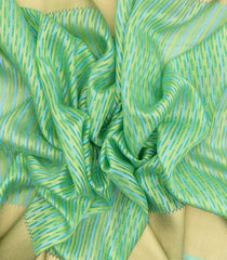 Mint Green Handloom Organza Soft Silk Saree With Stripe Motifs-SO4070