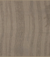 Beige Woven Art Chanderi Saree With Printed Stripes-BL4873