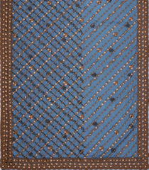 Blue Woven rnet Saree With Embroidered Floral Motifs-EN1862