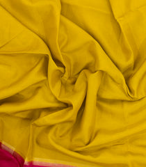 Lime Green Woven Blended Viscose Saree With Contrast Border-BL5620