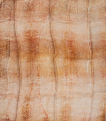 Peach Handloom Tussar Silk Saree With Eco Printed Motifs-TU2829