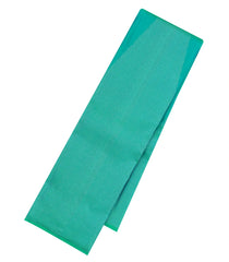 Aquamarine Handloom Soft Silk Saree With Zari Stripes-SO4668