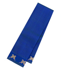 Blue Handloom Kanchipuram Silk Saree With Zari Stripes-KA15284