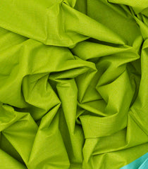 Light Green Woven Chirala Cotton Saree With Checks & Contrast Border-CR1335