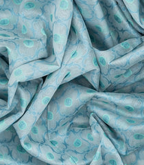 Light Blue Handloom Banarasi Cotton Saree With Floral Jaal Motifs-Light Blue