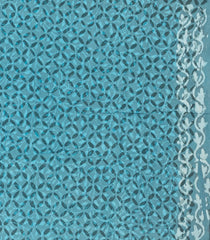 Light Blue Handloom Chanderi Cotton Saree With Printed Motifs-CC1367