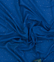 Blue Pure Chiffon Silk Saree With Printed Floral Motifs-PS0870