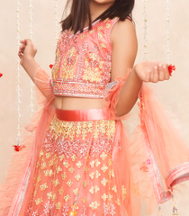 Blush pink embroidered festive lehenga set -Pink