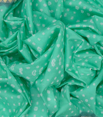 Turquoise Printed Chiniya Silk Saree With Floral Motifs in Border-Turquoise
