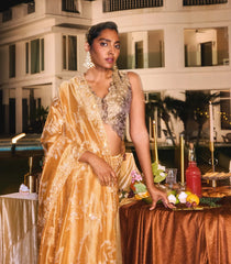 Gold Woven Blended Satin Saree With Hand Embroidered Floral Motifs-EN1858