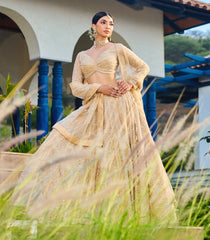 Beige Festive Lehenga Set-SK5120