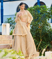 Beige Festive Lehenga Set-SK5120