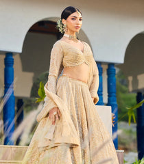 Beige Festive Lehenga Set-SK5120