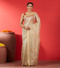 Taupe Blended Tussar Tissue Saree With Zari Border-Taupe