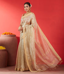 Taupe Blended Tussar Tissue Saree With Zari Border-Taupe