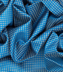 Blue Woven Tussar Silk Saree With Button Motifs-Blue