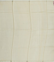 Cream Handloom Tussar Silk Saree With Printed Floral Motifs-TU2882