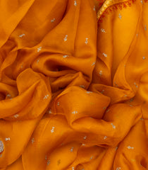 Orange Woven Organza Silk Saree With Embroidered Floral Motifs-BL3843