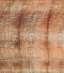 Rust Handloom Tussar Silk Saree With Eco Printed Floral Motifs-TU2743