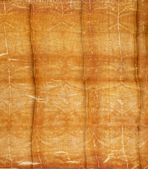 Mustard Handloom Tussar Silk Saree With Eco Printed Motifs-TU2830