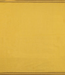 Taupe Woven Tussar Silk Saree With Dotted Stripes-TU3483