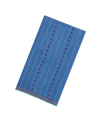Blue Printed Tussar Silk Saree With Stripes & Printed Pallu-TU3647