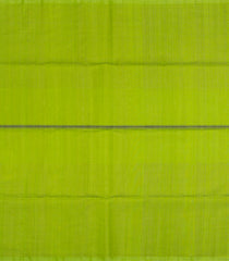Light Green Handloom Organza Silk Saree With Checks-SO4777