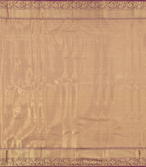 Taupe Woven Tissue Silk Saree With Floral Zari Motifs-KA15563