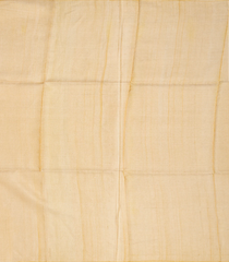 Beige Blended Tussar Tissue Saree With Coin Buttas-Beige